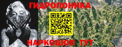 Альфа ПВП Бугуруслан